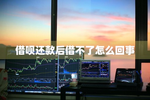 借呗还款后借不了怎么回事