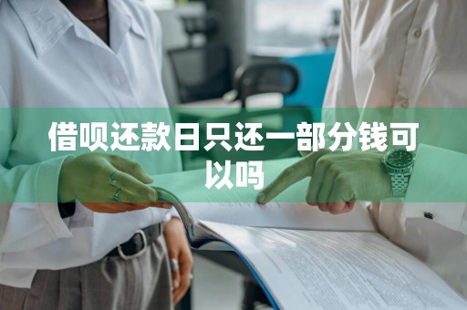 借呗还款日只还一部分钱可以吗