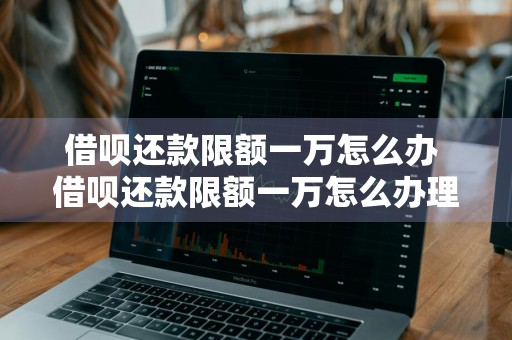 借呗还款限额一万怎么办 借呗还款限额一万怎么办理
