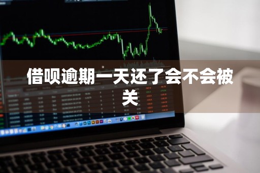 借呗逾期一天还了会不会被关