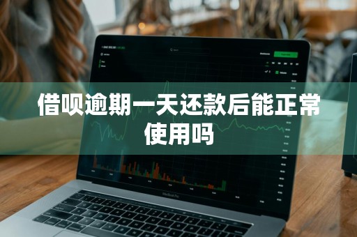 借呗逾期一天还款后能正常使用吗