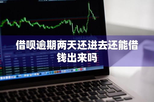 借呗逾期两天还进去还能借钱出来吗