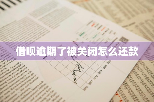 借呗逾期了被关闭怎么还款