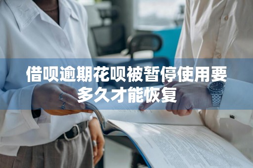 借呗逾期花呗被暂停使用要多久才能恢复