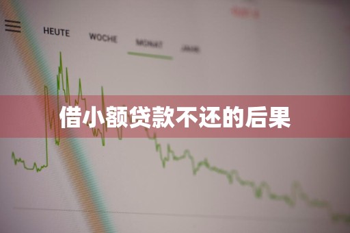 借小额贷款不还的后果