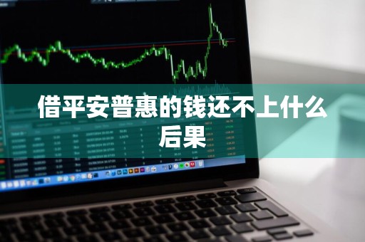 借平安普惠的钱还不上什么后果