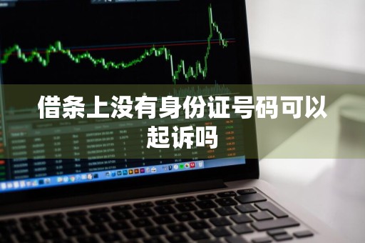 借条上没有身份证号码可以起诉吗