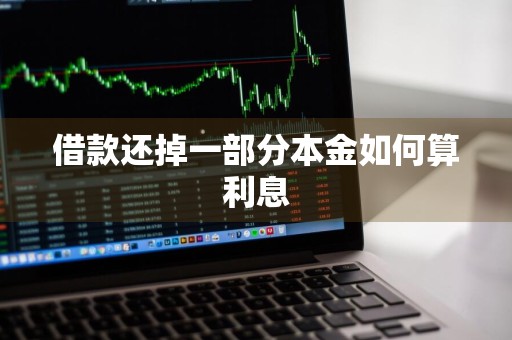 借款还掉一部分本金如何算利息