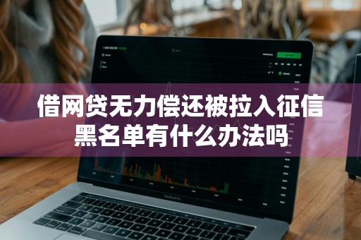 借网贷无力偿还被拉入征信黑名单有什么办法吗