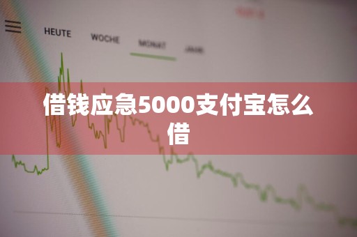 借钱应急5000支付宝怎么借