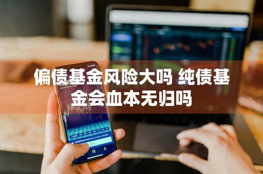 偏债基金风险大吗 纯债基金会血本无归吗