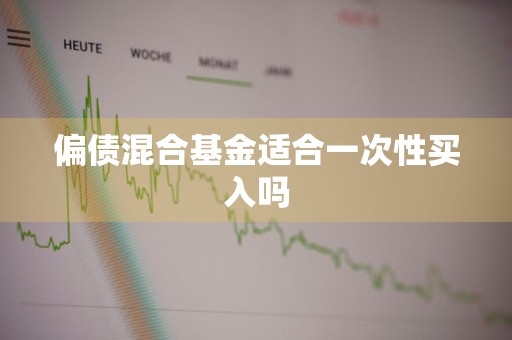 偏债混合基金适合一次性买入吗
