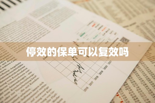 停效的保单可以复效吗