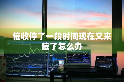 催收停了一段时间现在又来催了怎么办