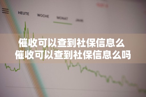 催收可以查到社保信息么 催收可以查到社保信息么吗