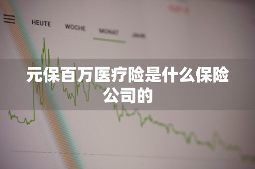 元保百万医疗险是什么保险公司的