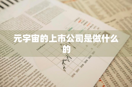 元宇宙的上市公司是做什么的