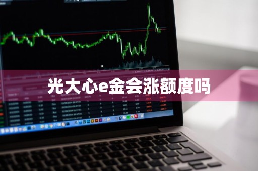 光大心e金会涨额度吗
