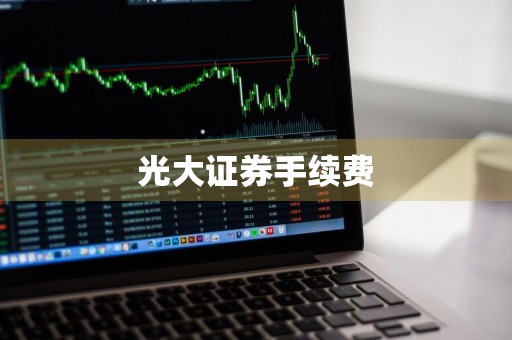 光大证券手续费