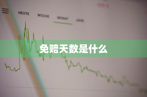 免赔天数是什么