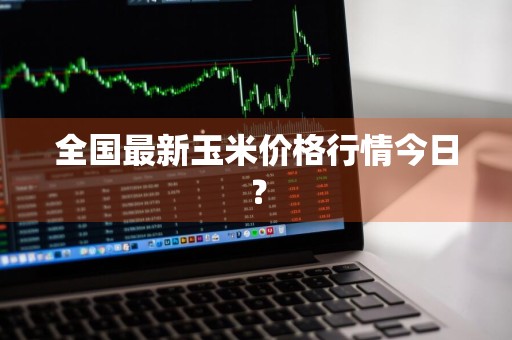 全国最新玉米价格行情今日？
