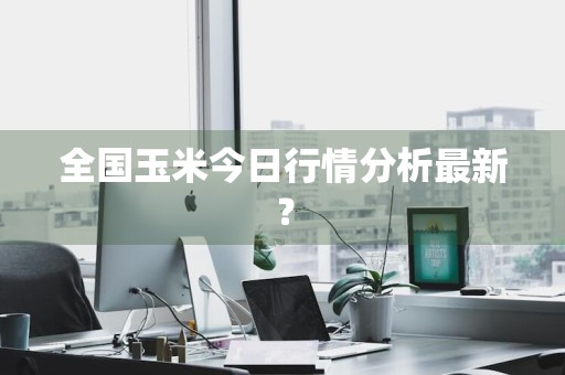 全国玉米今日行情分析最新？