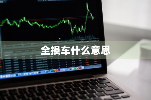 全损车什么意思