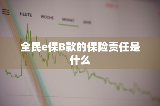 全民e保B款的保险责任是什么