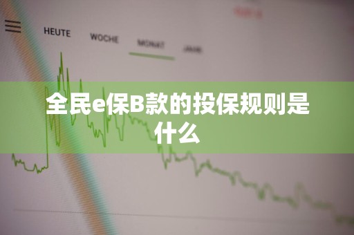 全民e保B款的投保规则是什么