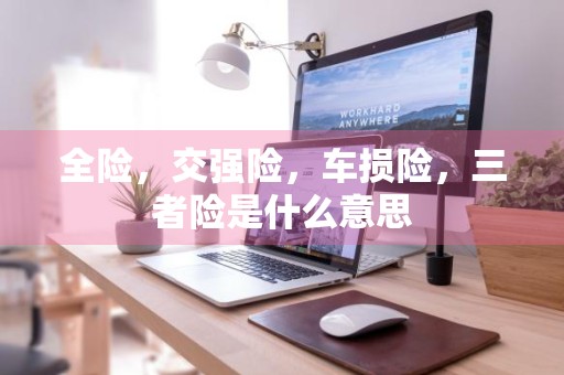 全险，交强险，车损险，三者险是什么意思