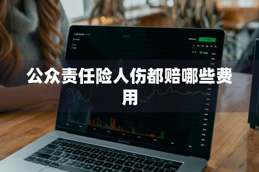 公众责任险人伤都赔哪些费用