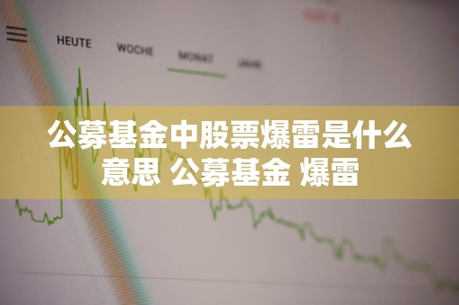 公募基金中股票爆雷是什么意思 公募基金 爆雷