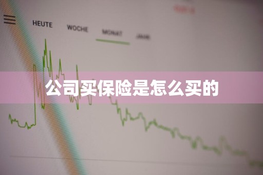 公司买保险是怎么买的