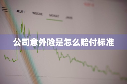 公司意外险是怎么赔付标准