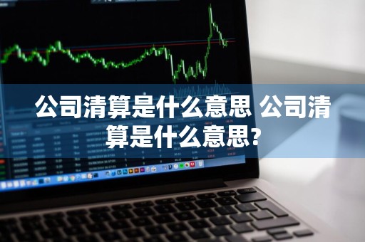公司清算是什么意思 公司清算是什么意思?