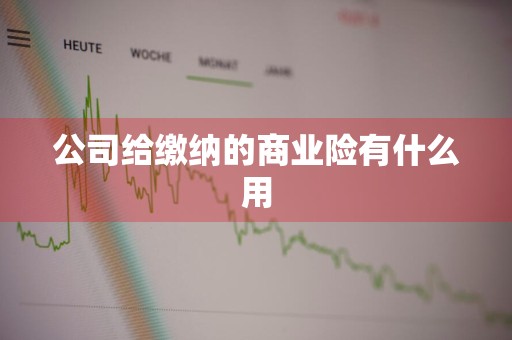 公司给缴纳的商业险有什么用