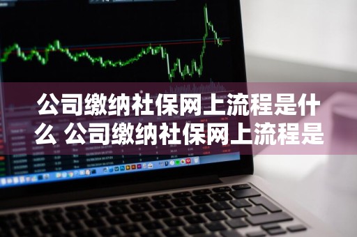 公司缴纳社保网上流程是什么 公司缴纳社保网上流程是什么样的