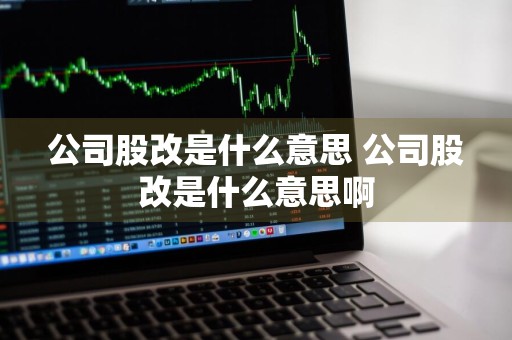 公司股改是什么意思 公司股改是什么意思啊