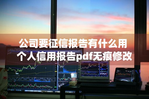 公司要征信报告有什么用 个人信用报告pdf无痕修改