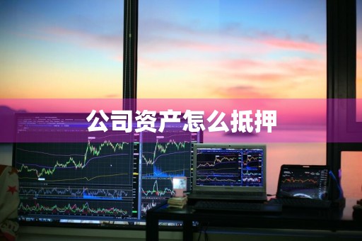 公司资产怎么抵押