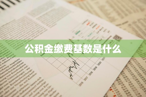 公积金缴费基数是什么