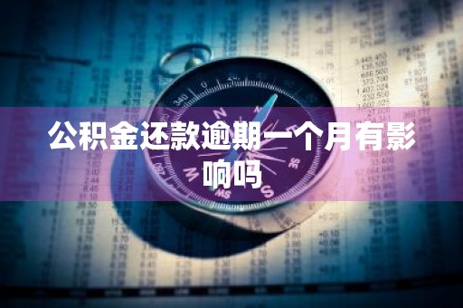 公积金还款逾期一个月有影响吗