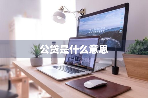 公贷是什么意思