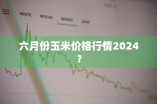 六月份玉米价格行情2024？