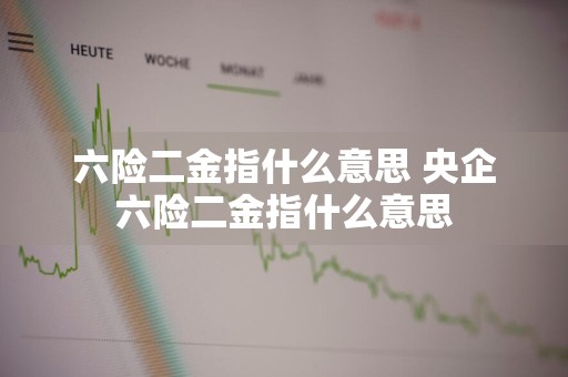 六险二金指什么意思 央企六险二金指什么意思