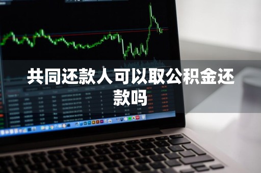 共同还款人可以取公积金还款吗