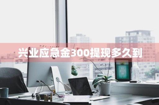 兴业应急金300提现多久到