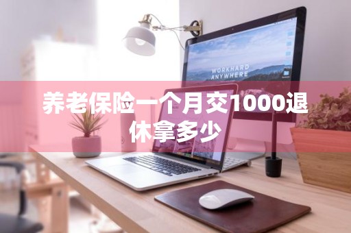 养老保险一个月交1000退休拿多少