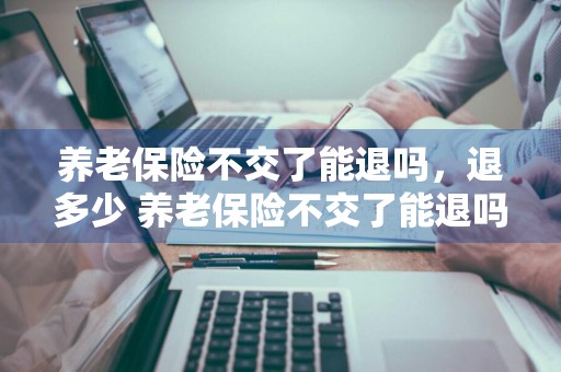 养老保险不交了能退吗，退多少 养老保险不交了能退吗,退多少钱