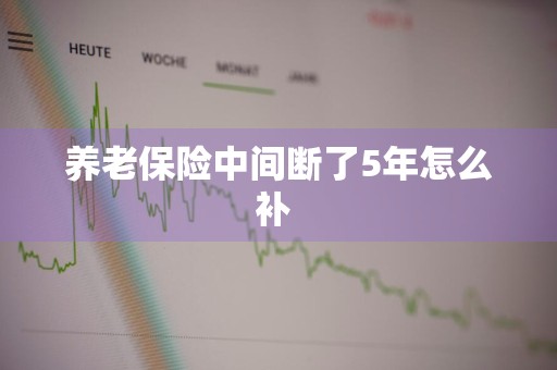 养老保险中间断了5年怎么补 